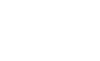 Project Handling